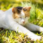 見込み客発見のための7つの気付き(その2の後編)