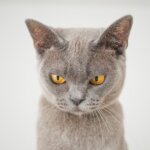 この２つの「紹介の必須要件」、知ってた？