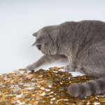 金運招来！（笑）