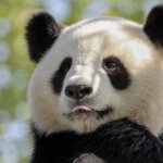 「自分は正しかった」と「納得」できる！