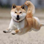 「焦燥感」を感じているあなたへ