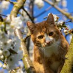 絶滅危惧な売り方？
